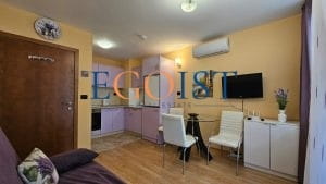 Апартамент с 1 спальней в комплексе Райский сад