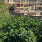 Студия в комплексе Роял Палм  , Святой Влас — фото 10