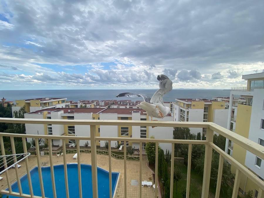 1-Bedroom Apartment in the Fort Noks Crown Complex, Saint Vlas — фото 1
